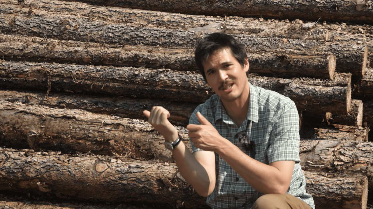 Brass Facts host beside log pile